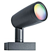 Ledvance Smart+ LED-Gartenspot Garten Spottwallspike RGBW EXT (L x B x H: 145 x 90 x 295 mm) | BAUHAUS
