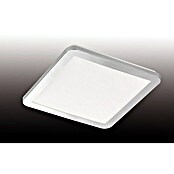 Fischer & Honsel LED-Deckenleuchte Gotland (15 W, L x B x H: 30 x 30 x 3 cm, Chromfarben, Warmweiß) | BAUHAUS