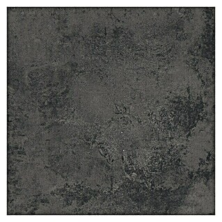 Queens Terrassenfliese (59,3 x 59,3 x 2 cm, Graphit, Matt)