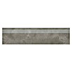 Queens Stufen- & Abdeckplatte (29,8 x 119,8 cm, Grau, Matt) | BAUHAUS
