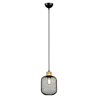 Reality Leuchten Lámpara colgante redonda Calimero (40 W, Ø x Al: 18 x 150 cm, Negro, E27)