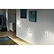 Paulmann Neordic Downlight LED empotrable (2,5 W, Blanco)