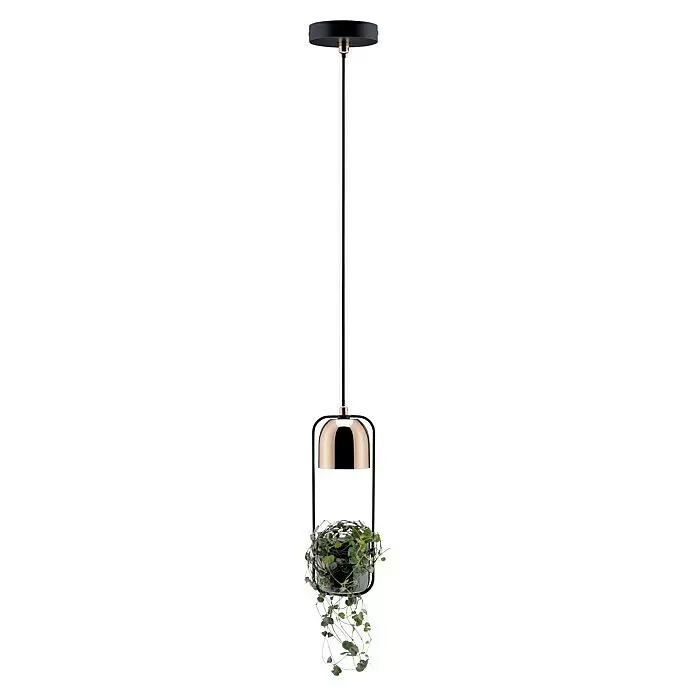 Paulmann Fanja Lámpara colgante Neordic - 20 W, Negro/Cobre, GU10 - Lámpara colgante moderna negra y oro rosa con soporte integrado para plantas colgantes, con una planta verde.