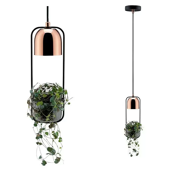 Paulmann Fanja Lámpara colgante Neordic - 20 W, Negro/Cobre, GU10 - Lámpara colgante negra y cobre con maceta integrada y planta verde colgante.