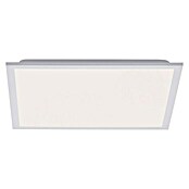 Paul Neuhaus LED-Panel (28 W, L x B x H: 44,5 x 44,5 x 7,2 cm, Weiß, Kaltweiß) | BAUHAUS