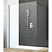 Camargue Vario Duschwand S13P (120 x 195 cm, Beschichtet, Stärke: 6, Silber)