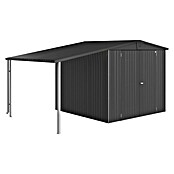 Biohort Europa Bočna nadstrešnica  (D x Š: 2,28 x 1,5 m, Čelik, Metalik tamnosivo) | BAUHAUS