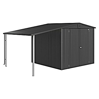 Biohort Europa Bočna nadstrešnica (D x Š: 2,28 x 1,5 m, Čelik, Metalik tamnosivo)
