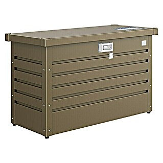 Biohort Paketbox (L x B x H: 101 x 46 x 61 cm, Bronze Metallic)