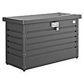 Biohort Paketbox 100 (L x B x H: 46 x 101 x 61 cm, Dunkelgrau-Metallic) | BAUHAUS