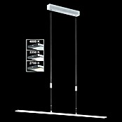 Fischer & Honsel LED-Pendelleuchte Metz (29 W, Aluminium/Chrom) | BAUHAUS