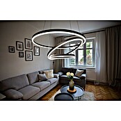 Direct Signs LED-Pendelleuchte Noble (Höhe: 150 cm, Schwarz, Durchmesser: 800 mm) | BAUHAUS