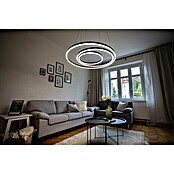 Direct Signs LED-Pendelleuchte Noble (Höhe: 150 cm, Schwarz, Durchmesser: 800 mm) | BAUHAUS