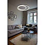 Direct Signs LED-Pendelleuchte Noble (Höhe: 150 cm, Weiß, Durchmesser: 600 mm) | BAUHAUS