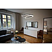 Direct Signs LED-Pendelleuchte Noble (Höhe: 150 cm, Schwarz, Durchmesser: 600 mm) | BAUHAUS