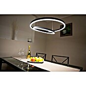 Direct Signs LED-Pendelleuchte Noble (Höhe: 150 cm, Schwarz, Durchmesser: 600 mm) | BAUHAUS