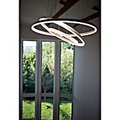 Direct Signs LED-Pendelleuchte Noble (Höhe: 150 cm, Weiß, Durchmesser: 800 mm) | BAUHAUS