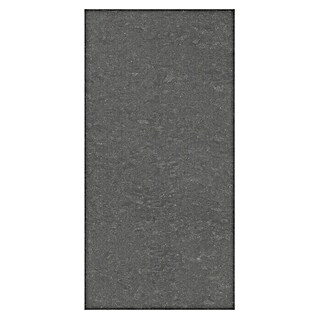 Futura by Palazzo Feinsteinzeugfliese (30 x 60 cm, Dark Anthrazit, Matt, R10)