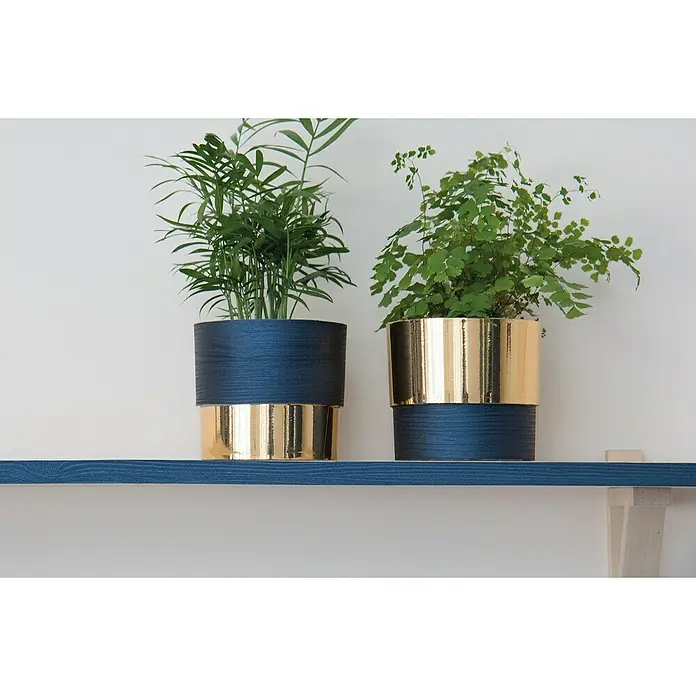 D-c-fix Metalleffektfolie Metallic Hochglanz - 150 x 45 cm, Gold, Selbstklebend - Zwei Zimmerpflanzen in blauen und goldenen Töpfen stehen auf einem Regal. Die Töpfe ergänzen das Grün der Pflanzen perfekt.