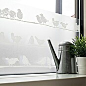 D-c-fix Static Premium Glasfolie (150 x 45 cm, Weiß, Filippa, Statisch haftend)