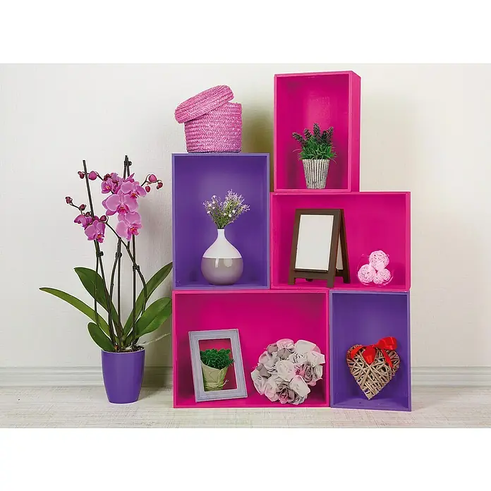D-c-fix Klebefolie Uni Lack - 200 x 45 cm, Flieder, Selbstklebend - Einrichtungsidee mit violetten und pinken Regalen, dekoriert mit Blumen, Pflanzen und Deko-Objekten für ein stilvolles Zuhause.