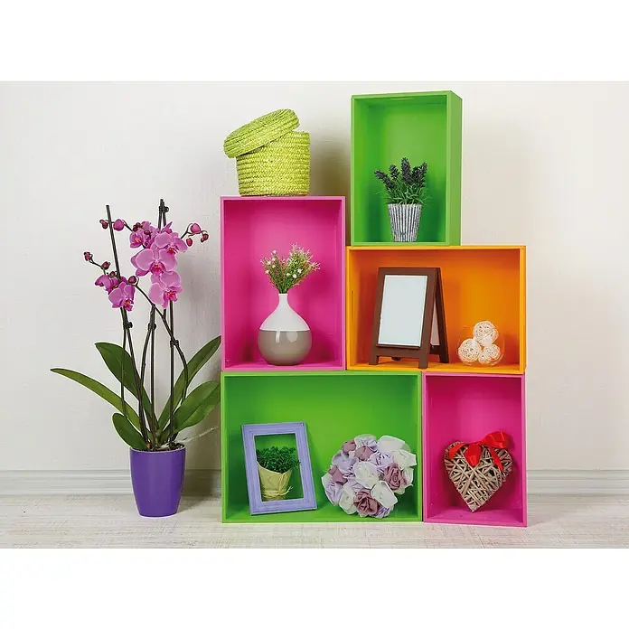 D-c-fix Klebefolie Uni Lack - 200 x 45 cm, Apple, Selbstklebend - Dekorative Wandregale in leuchtenden Farben mit stilvollen Accessoires wie Pflanzen und Bilderrahmen für ein lebendiges Ambiente.