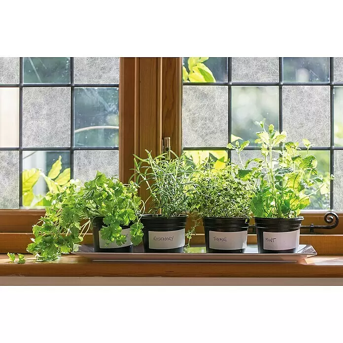 D-c-fix Glasfolie Reispapier - 200 x 45 cm, Transluzent, Selbstklebend - Stimmungsaufnahme