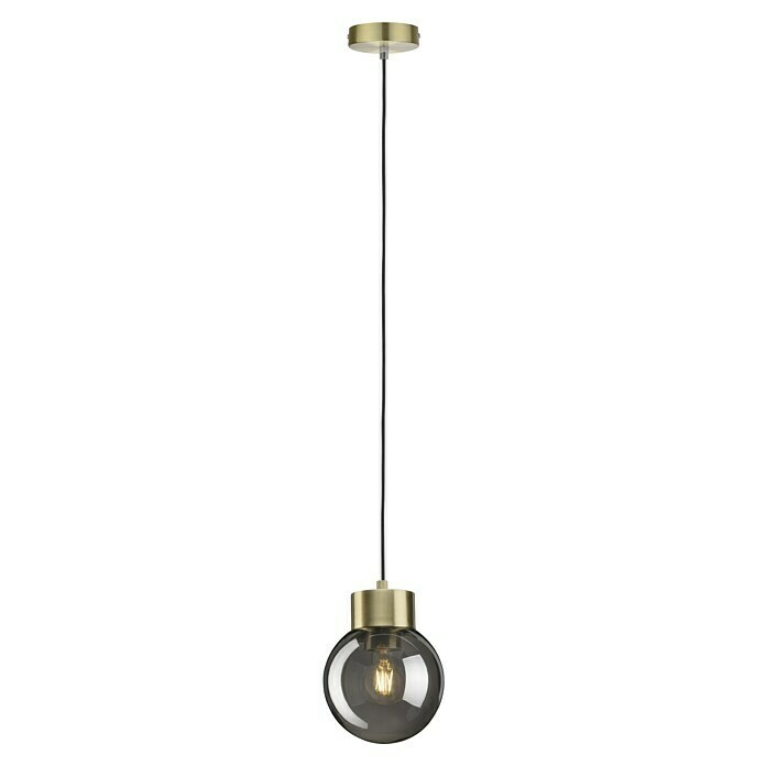 Paulmann Neordic Pendelleuchte Linja (20 W, Messing/Rauchglas, Höhe: 110 mm)