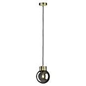 Paulmann Neordic Pendelleuchte Linja (20 W, Messing/Rauchglas, Höhe: 110 mm)