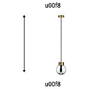 Paulmann Neordic Pendelleuchte Linja (20 W, Messing/Rauchglas, Höhe: 110 mm)