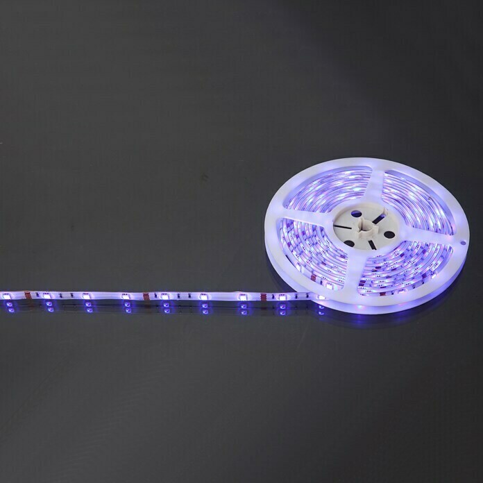 Globo LED traka s promjenom boje  (5 m) | BAUHAUS