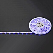 Globo LED traka s promjenom boje  (5 m) | BAUHAUS