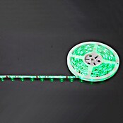 Globo LED traka s promjenom boje  (5 m) | BAUHAUS