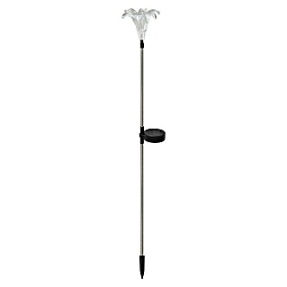 BAUHAUS Solarna svjetiljka Blume (60 cm, Šiljak za zabijanje u zemlju, IP44)