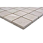 Mosaikfliese Quadrat XNT 46604 (30,5 x 30,5 cm, Beige, Matt)