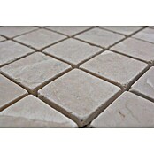 Mosaikfliese Quadrat XNT 46604 (30,5 x 30,5 cm, Beige, Matt)