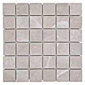 Mosaikfliese Quadrat XNT 46604 (30,5 x 30,5 cm, Beige, Matt)