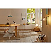 Paulmann Bombilla LED (E27, Blanco cálido, Claro/Cobre, G95, Brillante)