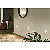 Paulmann Downlight LED empotrable (Blanco)