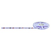 Globo LED traka  (5 m) | BAUHAUS