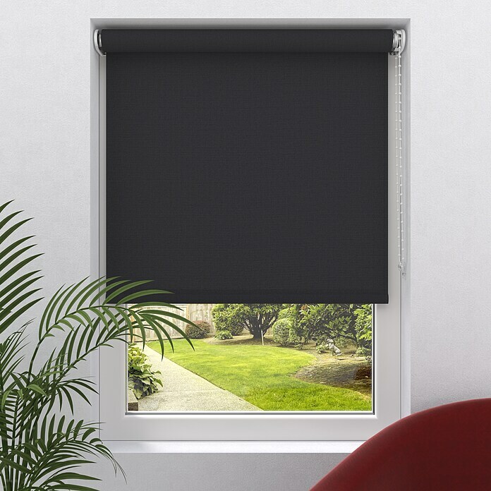 Rolgordijn (b x h: 120 x 190 cm, Zwart, Uni) | BAUHAUS