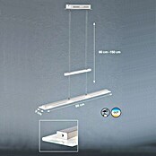 Honsel Leuchten LED-Pendelleuchte Tenso (1-flammig, 4 x 4,8 W, Warmweiß, Höhenverstellbar: 80 - 150 cm)