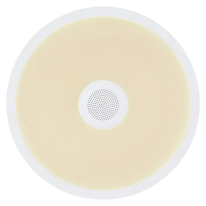 Globo Plafón LED redondo Raffy con altavoz - 18 W, Ø x Al: 28 x 5,5 cm, Blanco, RGBW, Altavoz - Moderna lámpara de techo con altavoz integrado, ideal para cualquier habitación. La luz cálida crea un ambiente acogedor.