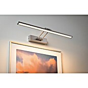 Paulmann Galeria LED-Bilderleuchte Beam Sixty (11 W, Warmweiß, 58,5 x 19 cm, Nickel gebürstet)