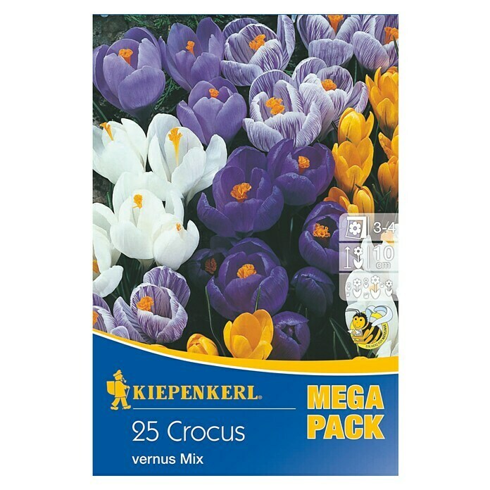 Kiepenkerl Frühlingsblumenzwiebeln Mega-Pack GartenkrokusmischungCrocus vernus, 25 Stk. Front View