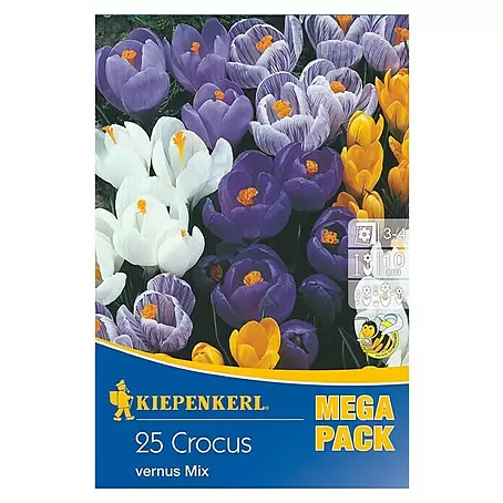 Kiepenkerl  Frühlingsblumenzwiebeln Mega-Pack Gartenkrokusmischung