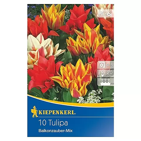 Kiepenkerl  Frühlingsblumenzwiebel-Mix