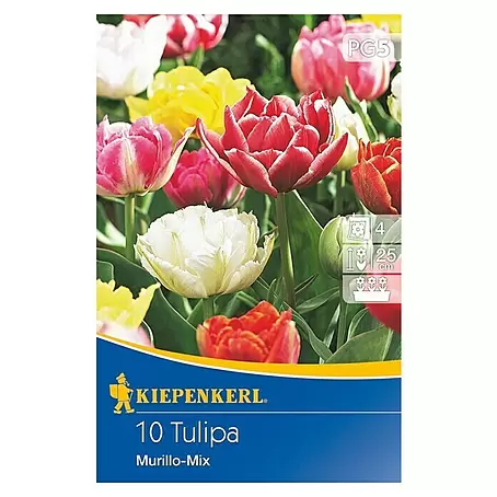 Kiepenkerl  Frühlingsblumenzwiebel-Mix