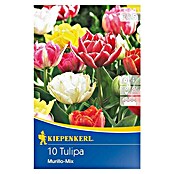 Kiepenkerl Frühlingsblumenzwiebel-Mix (Tulipa 'Murillo Mix', 10 Stk.) | BAUHAUS