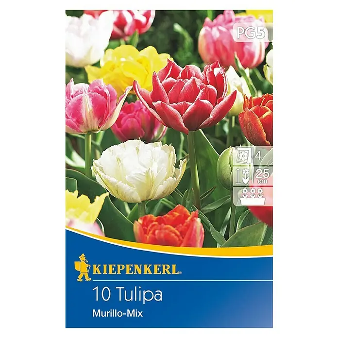 Kiepenkerl Blumenzwiebeln - Tulipa 'Murillo Mix', 10 Stk. - Nahaufnahme einer Packung Kiepenkerl 10 Tulipa Murillo-Mix Blumenzwiebeln, die eine Vielzahl von Tulpen in voller Blüte zeigt.